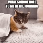 Just a joke maybe | What school does to me in the morning | image tagged in gifs,cat,school | made w/ Imgflip video-to-gif maker