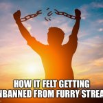 Man breaking free from chains over the sunset | How it felt getting unbanned from furry stream | image tagged in man breaking free from chains over the sunset | made w/ Imgflip meme maker