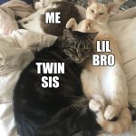 Siblings | Me; Lil Bro; Twin
Sis | image tagged in duo in a trio | made w/ Imgflip meme maker