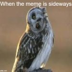 90 Degree angle Owl | When the meme is sideways | image tagged in 90 degree angle owl,imgflipper | made w/ Imgflip meme maker