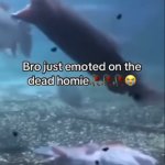 Bro just emoted on the dead homie meme