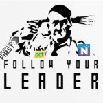 Follow your leader nz new zealand
