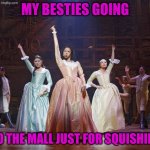 Hamilton Angelica | my besties going; to the mall just for squishies | image tagged in hamilton angelica | made w/ Imgflip meme maker