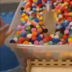 Gay box GIF Template