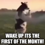 I brush my teeth and count up | Wake up its the first of the month! | image tagged in gifs,cow | made w/ Imgflip video-to-gif maker
