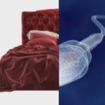 Half bed, half sperm. template