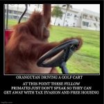 On my way to the grocery store to get some bananas | At this point these fellow primates just don’t speak so they can get away with tax evasion and free housing; Orangutan driving a golf cart | image tagged in demotivational poster,monkey,car memes | made w/ Imgflip meme maker