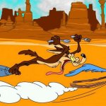 road runner