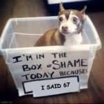 box of shame dog | I said 67 | image tagged in box of shame dog | made w/ Imgflip meme maker