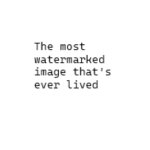 The WIP most watermarked image thats ever lived