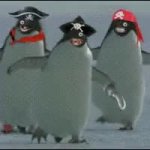 Pirate penguins GIF Template
