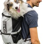 dog backpack