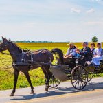 software-amish