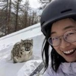 Tourist gets that once in a lifetime photo