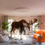 Moose Address Me