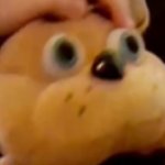 freddy is confused!!