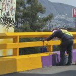 Paint