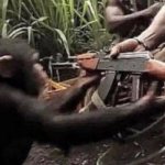 Give a machine gun to a democrat chimp template