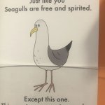 How's he supposed to swim with feet like that? Poor fella
