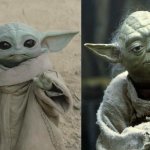 groku yoda