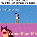true story, i didnt wanna write so i just went to the library to print it | teacher: ok we gotta write some notes
me after just printing the notes: | image tagged in hail pole cat | made w/ Imgflip meme maker