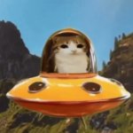 space cat