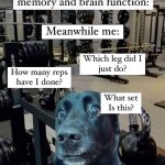 Gymdog