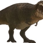 Hank the t-rex backrooms