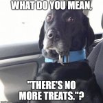 No More Treats | what do you mean, "there's no more treats."? | image tagged in black lab wide eyed dog | made w/ Imgflip meme maker