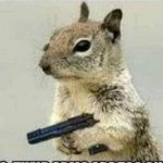 Squirrel with Desert Eagle Gun