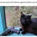 Teach your pets self defense meme