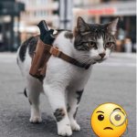 Cat with holstered gun meme