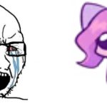Soyboy vs Cat Sashley meme