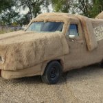 shaggin wagon