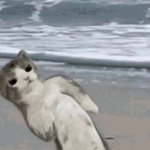 Box GIF Template