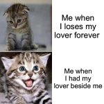 Sad Cat to Happy Cat | Me when I loses my lover forever; Me when I had my lover beside me | image tagged in sad cat to happy cat | made w/ Imgflip meme maker
