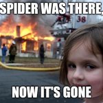 Disaster Girl | Spider was there, now it's gone | image tagged in memes,disaster girl | made w/ Imgflip meme maker