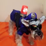 POLICE DOG