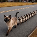 Walking kitty meme