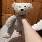 bear plush choking