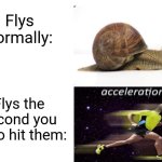 Flys just be ragebaiting us | Flys normally:; Flys the second you try to hit them: | image tagged in acceleration yes,fly,insects,memes,funny,annoying | made w/ Imgflip meme maker