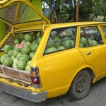 Word problem watermelon guy