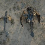 Crimson desert, wyvern, dragon template