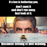 Bee Leaving | If a bee is bothering you, don’t swat it 
and don’t run away.
Just look at it. Because seeing is bee leaving. | image tagged in black square,bees,puns | made w/ Imgflip meme maker