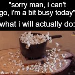 who flagged this meme bro? | what i will actually do: | image tagged in gifs,angry birds,funny,memes | made w/ Imgflip video-to-gif maker