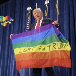Donald Trump LGBT Gay Pride Flag meme