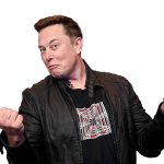 Elon Musk shrug