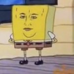 Handsome sponge
