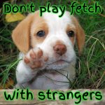 That's Just Good Advice | Don't play fetch; With strangers | image tagged in dog puppy bye,memes,stranger danger,be aware,stay safe,fetch | made w/ Imgflip meme maker