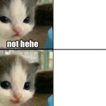 not hehe and then hehe